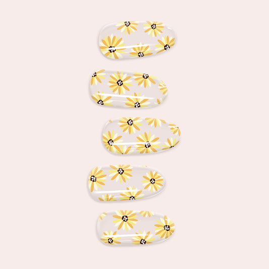 Gold and Cream Daisy Gel Nail Sticker Kit with delicate floral designs on a clear base for a DIY semi-cured manicure.