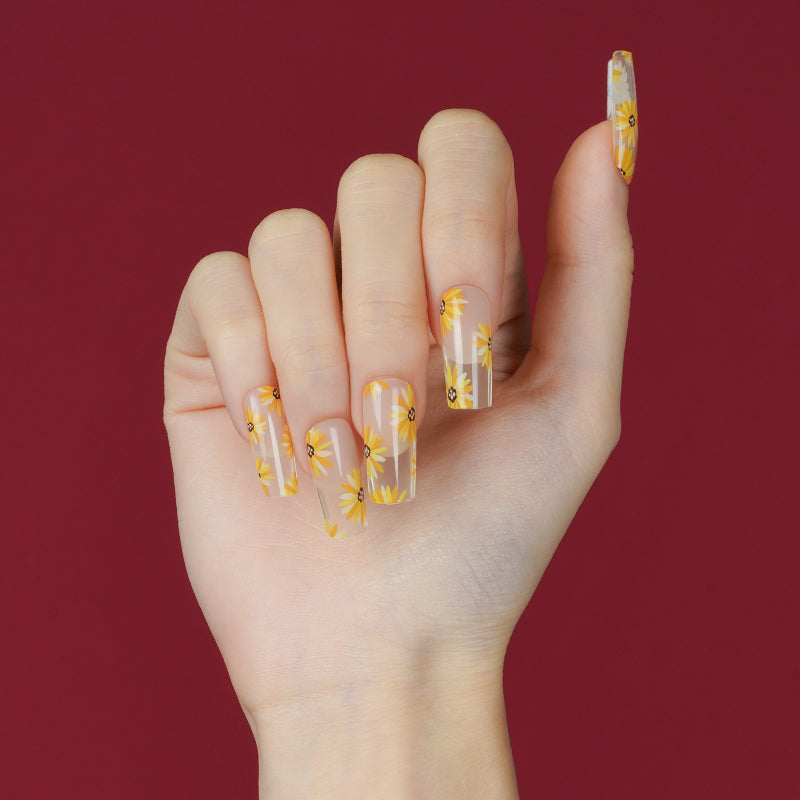 Elegant gold and cream daisy nail art on natural hands, achieved with a DIY semi-cured gel sticker kit for a cheerful, luxurious manicure.